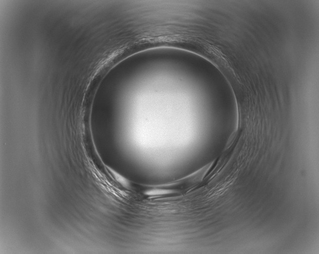 X0000052590395200507081759