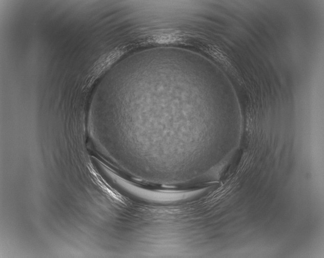 X0000052590397200507081759