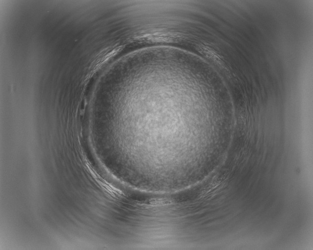 X0000052590398200507081759