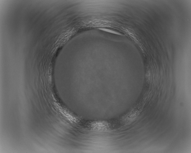 X0000052590402200507081759