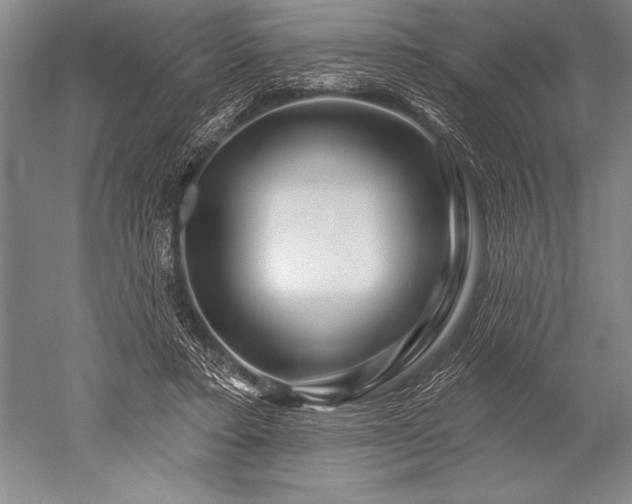 X0000052590403200507081759