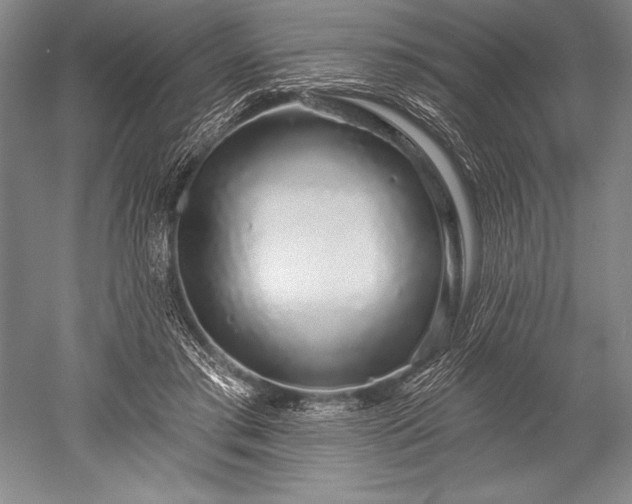 X0000052590405200507081759
