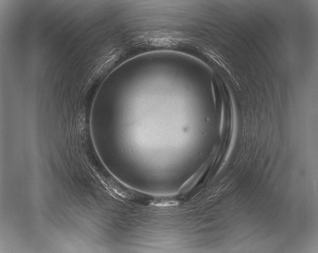 X0000052590407200507081759