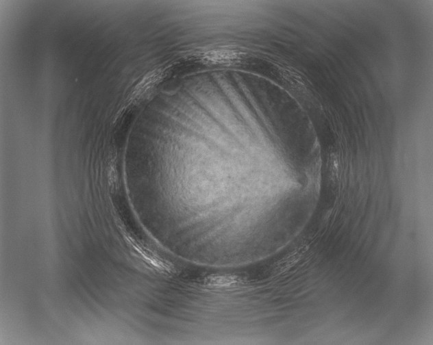 X0000052590408200507081759