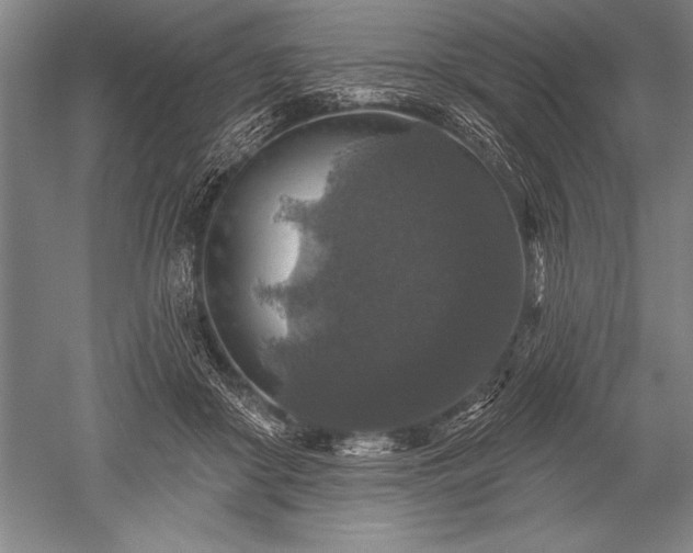 X0000052590410200507081759