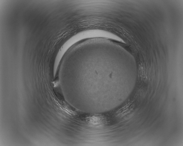 X0000052590412200507081759