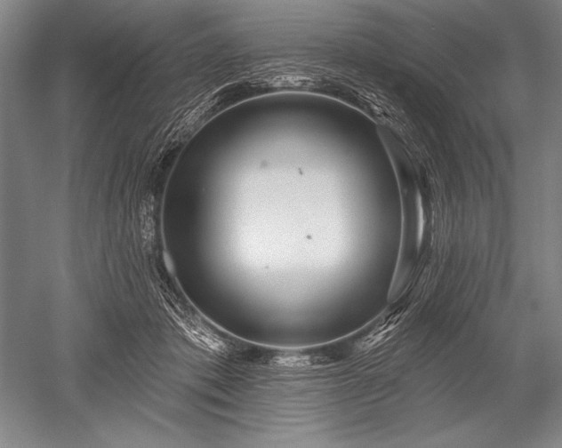 X0000052590413200507081759