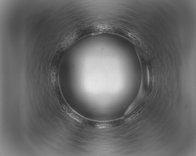 X0000052590417200507081759