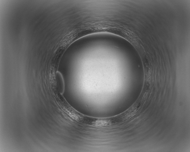 X0000052590418200507081759