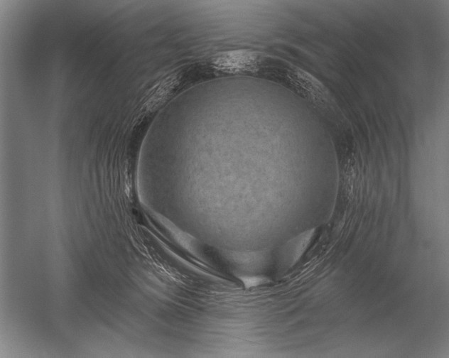 X0000052590420200507081759