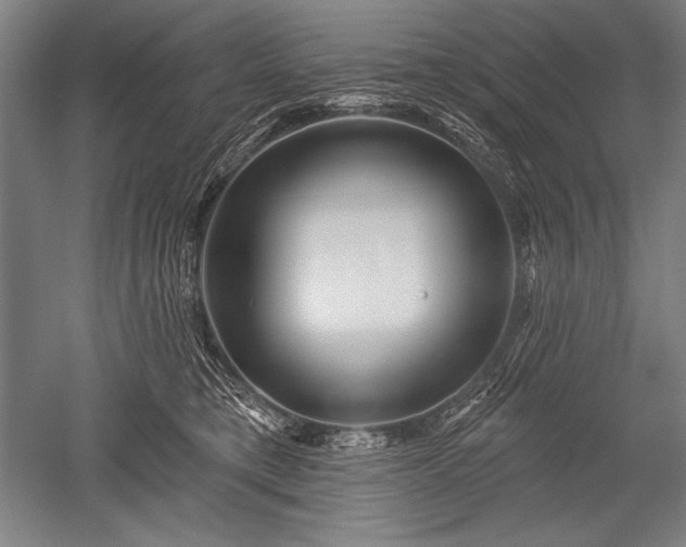 X0000052590421200507081759