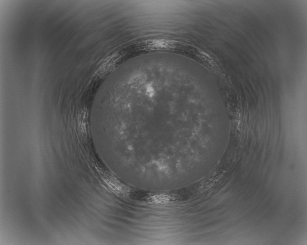 X0000052590423200507081759