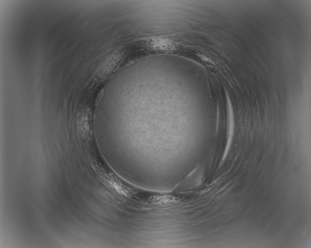 X0000052590424200507081759