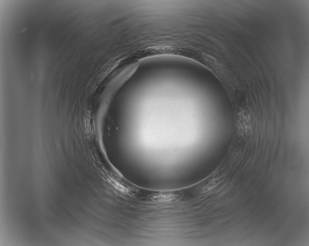 X0000052590428200507081759