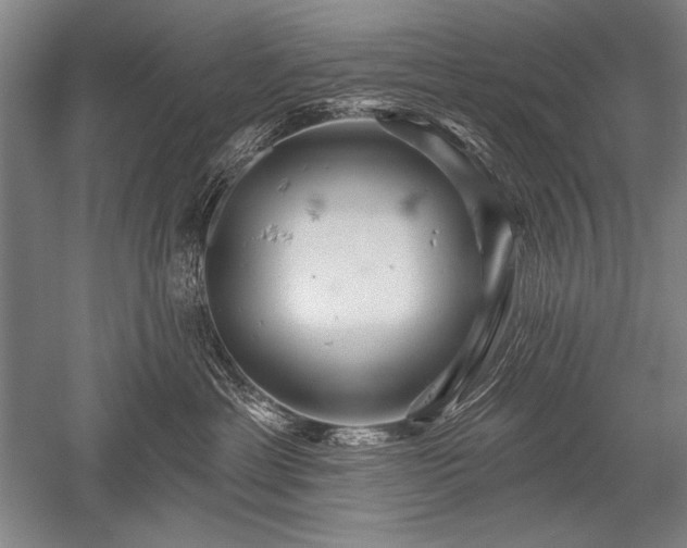X0000052590429200507081759