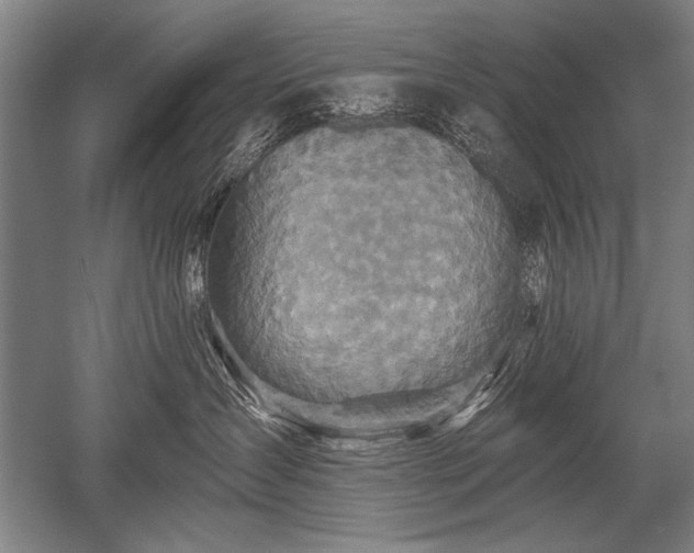 X0000052590431200507081759