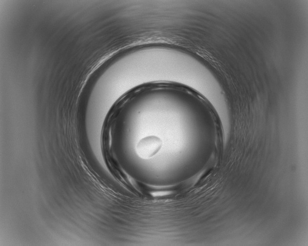 X0000052590440200507081758