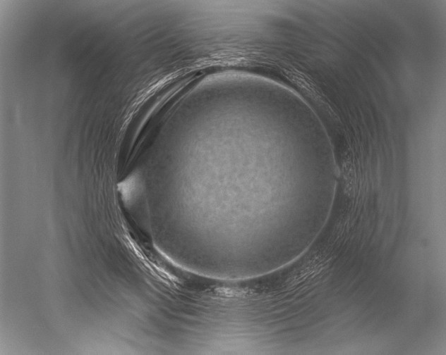 X0000052590442200507081758