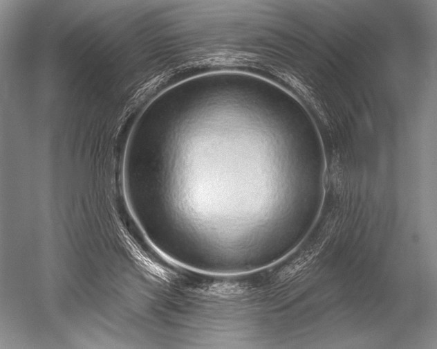 X0000052590445200507081758