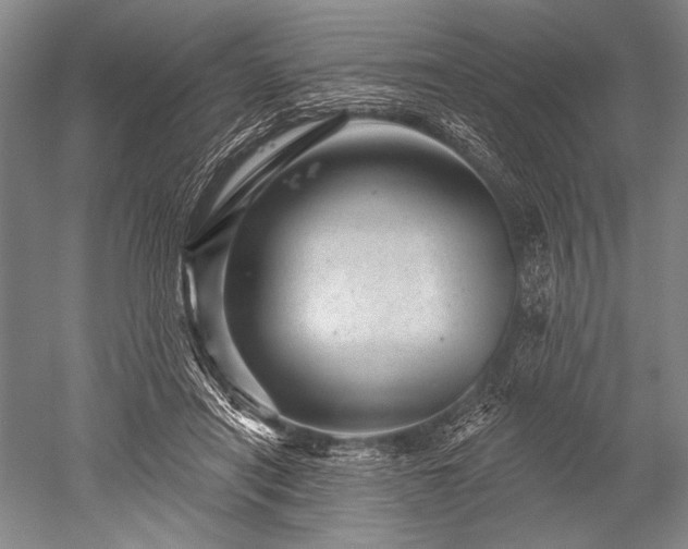 X0000052590454200507081758