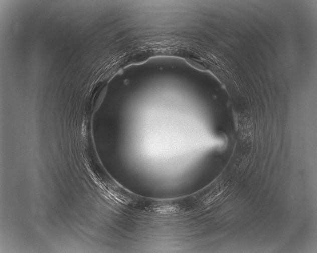 X0000052590456200507081758