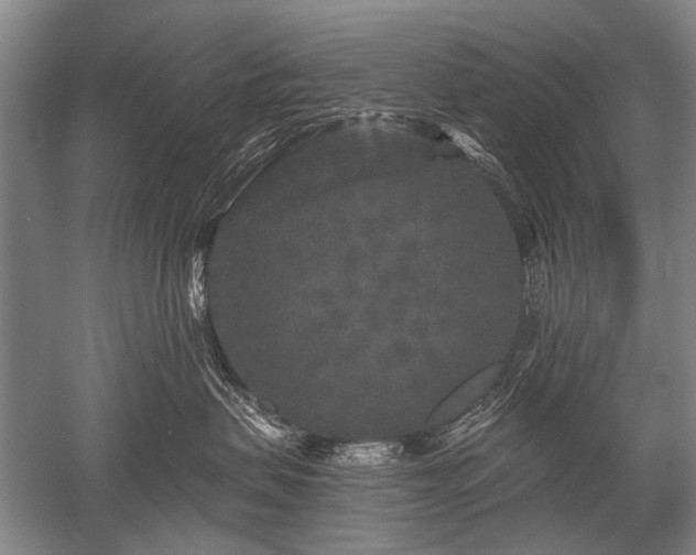 X0000052590479200507081759