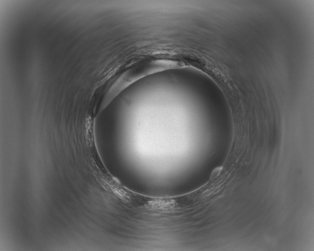 X0000052590480200507081759