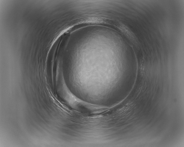 X0000052590484200507081758