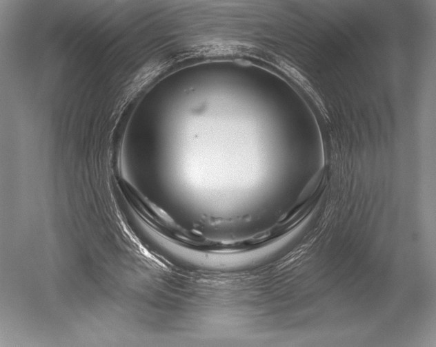X0000052590485200507081758