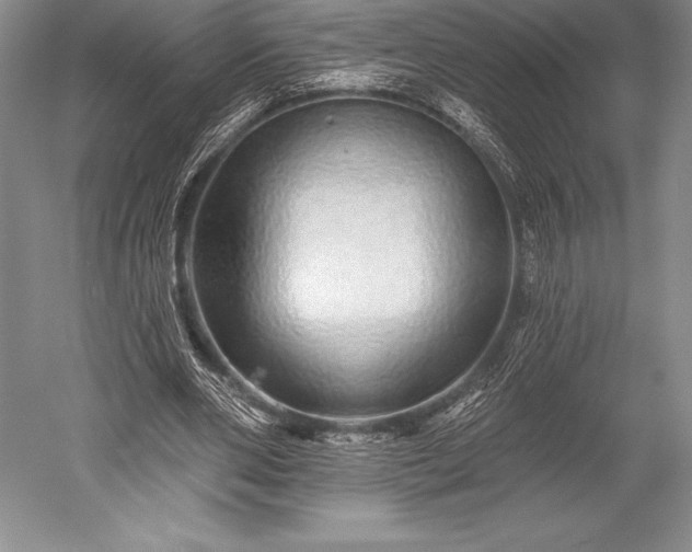 X0000052590486200507081758