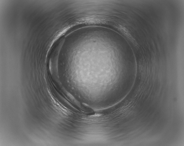 X0000052590488200507081758