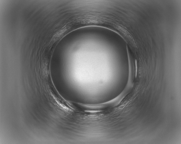X0000052590489200507081758