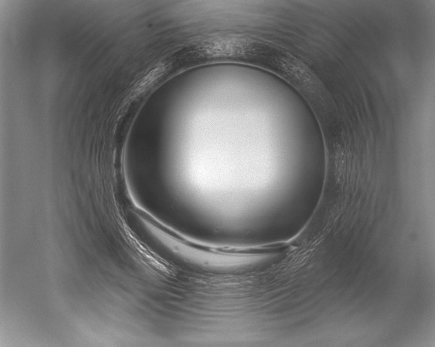 X0000052590490200507081758