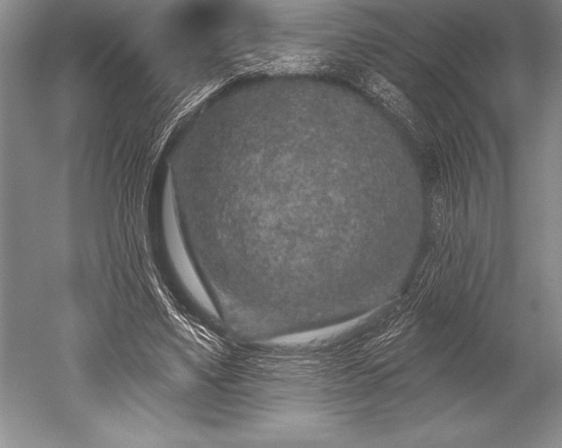 X0000052590491200507081758