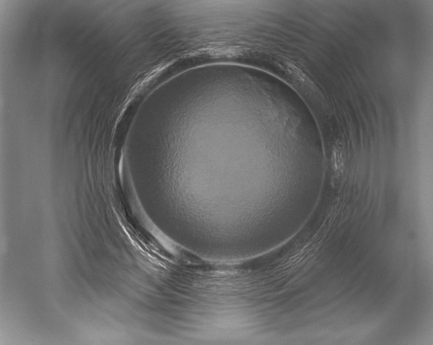 X0000052590492200507081758