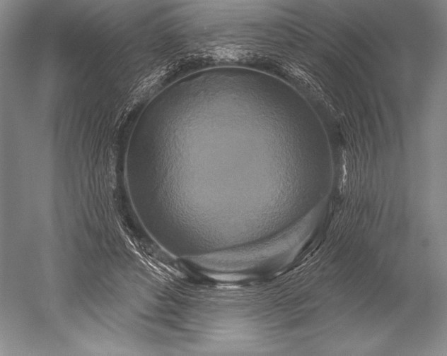 X0000052590496200507081758