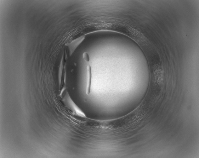 X0000052590498200507081758