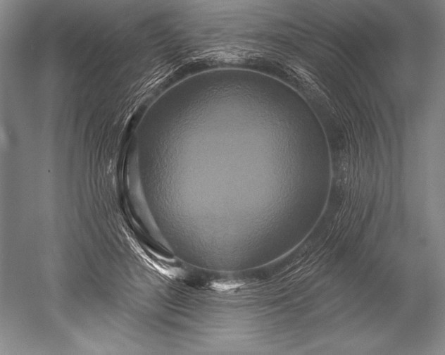 X0000052590500200507081758