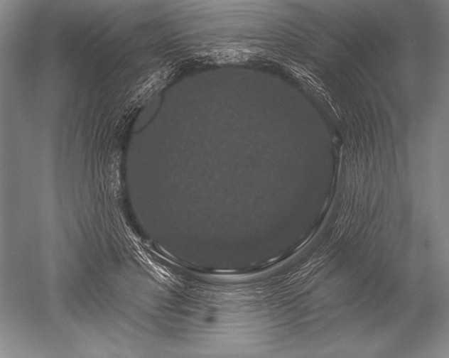 X0000052590501200507081758