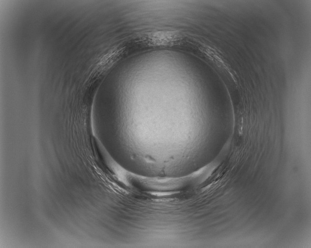 X0000052590505200507081758