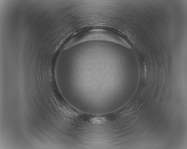 X0000052590508200507081757