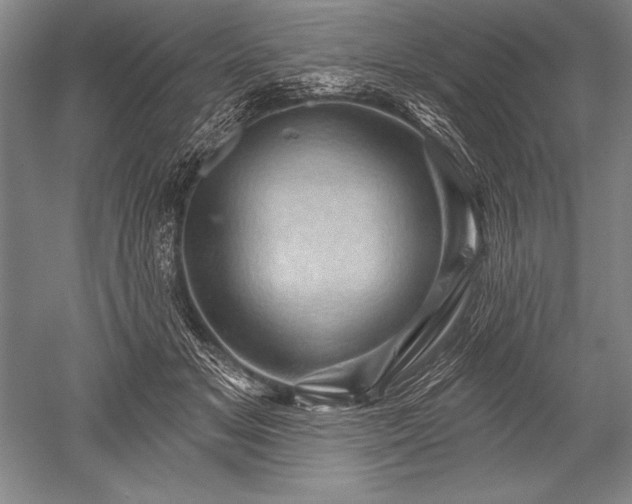 X0000052590509200507081757