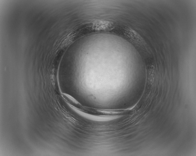 X0000052590510200507081757