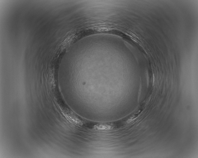 X0000052590512200507081757
