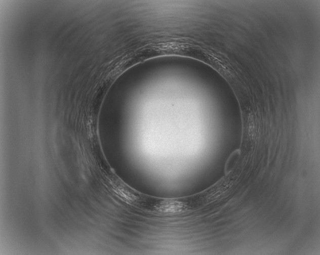 X0000052590514200507081757