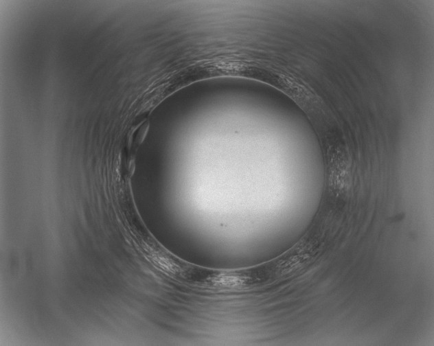 X0000052590518200507081757