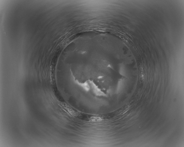 X0000052590519200507081757