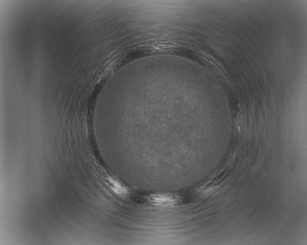 X0000052590520200507081757