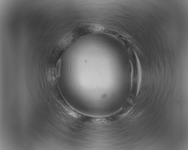 X0000052590525200507081757