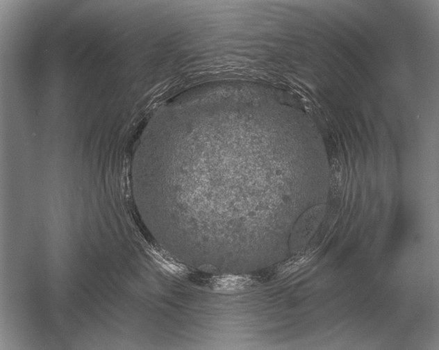 X0000052590527200507081757